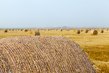 Image showing stack of straw in the field