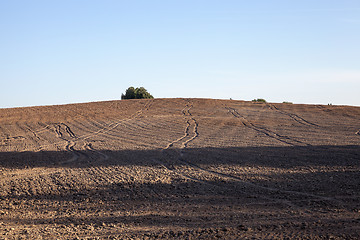 Image showing plowed agricultural field