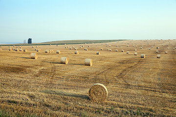 Image showing haystacks in a field of straw