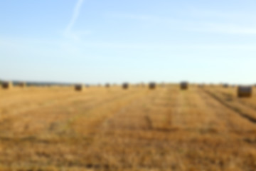 Image showing stack of wheat straw