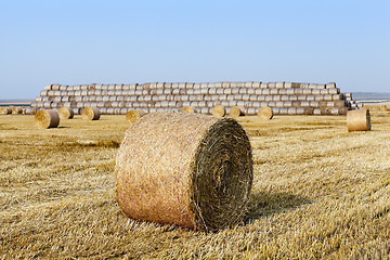 Image showing stack of straw in the field