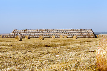 Image showing straw in the field