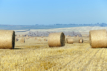 Image showing haystacks in a field of straw