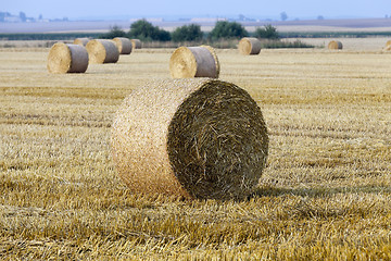 Image showing stack of straw in the field