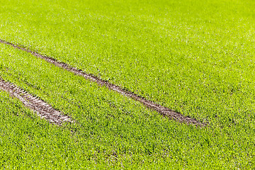 Image showing road in a field