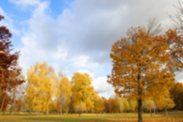 Image showing autumn in the park