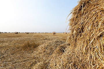 Image showing haystacks in a field of straw