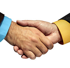 Image showing shaking hands