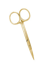 Image showing Golden manicure scissors