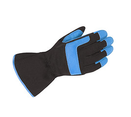 Image showing Ski Gloves