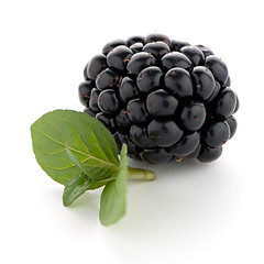 Image showing Blackberries with leaves