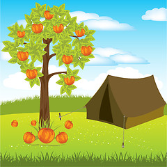 Image showing Tent under aple tree