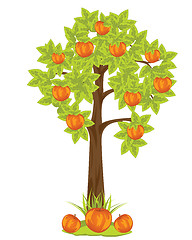 Image showing Aple tree