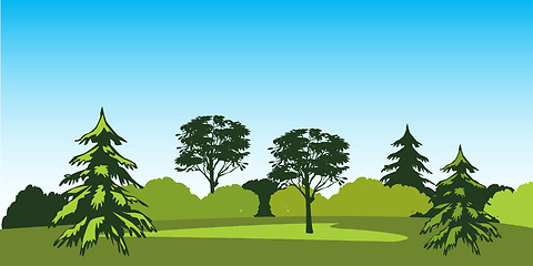 Image showing Timber landscape