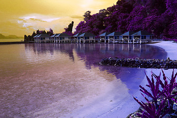 Image showing Purple Island