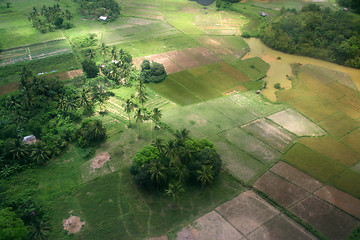 Image showing Farm