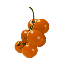 Image showing Yellow Tomato