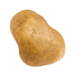 Image showing potato isolated