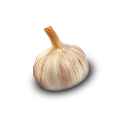 Image showing Garlic isolated on white background.