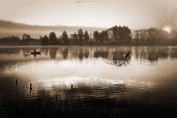 Image showing A fisherman in a boat sailing in the morning mist