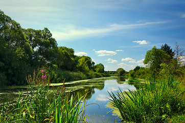 Image showing Summer landscape with a river