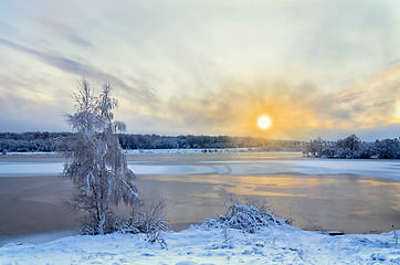 Image showing Winter landscape with lake and trees covered with frost