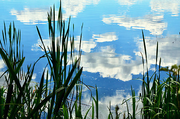 Image showing Summer landscape with a river