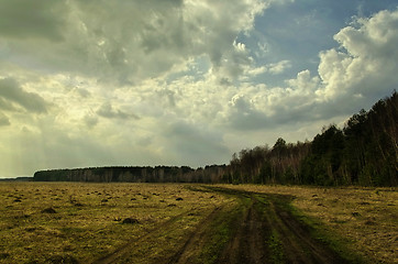 Image showing Dirt road along the forest spring