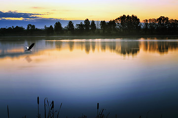 Image showing The morning landscape with sunrise over water in the fog