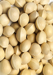 Image showing many pistachios isolated on a white background