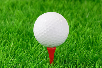 Image showing  Playing golf