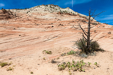 Image showing Zion National Park