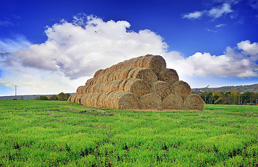 Image showing Rolls of hay stacked in a stack on the field against the blue sky