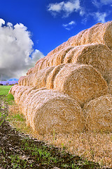 Image showing Rolls of hay stacked in a stack on the field against the blue sky