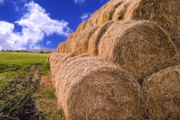 Image showing Rolls of hay stacked in a stack on the field against the blue sky