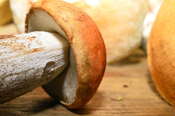 Image showing  Wild mushroom on the table