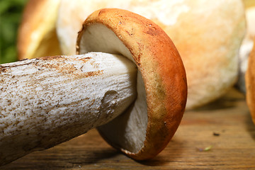 Image showing  Wild mushroom on the table