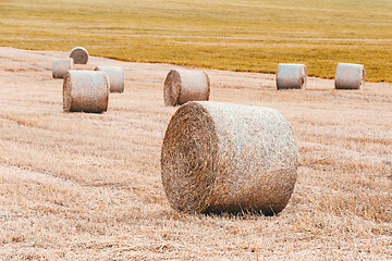 Image showing harvested field with straw bales in summer