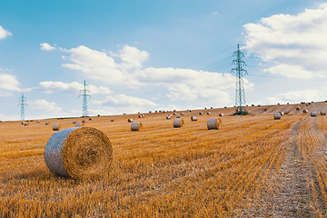 Image showing harvested field with straw bales in summer