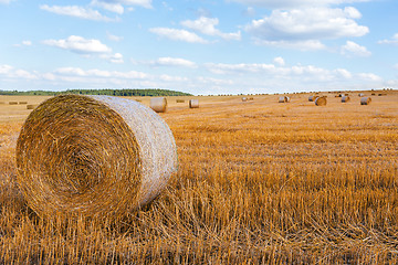 Image showing harvested field with straw bales in summer