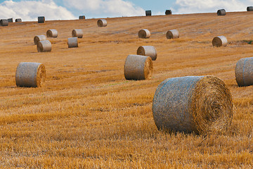 Image showing harvested field with straw bales in summer