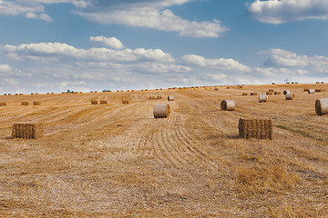 Image showing harvested field with straw bales in summer