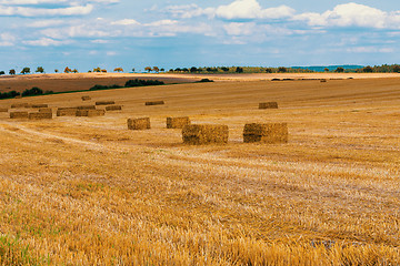 Image showing harvested field with straw bales in summer