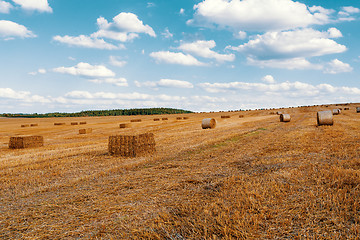 Image showing harvested field with straw bales in summer