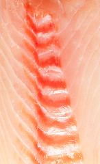 Image showing raw salmon fillet background