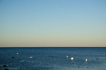 Image showing Blue rippled water