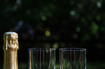 Image showing Champagne bottle with two glasses