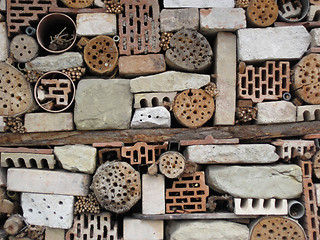 Image showing insect home made by people