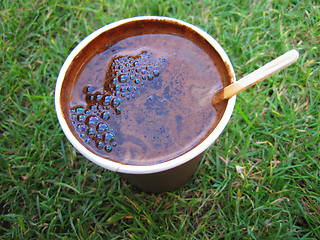 Image showing coffee drink in the green grass