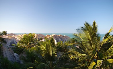 Image showing White Cliffs